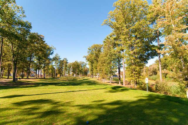 Swanson Meadows - photo 2