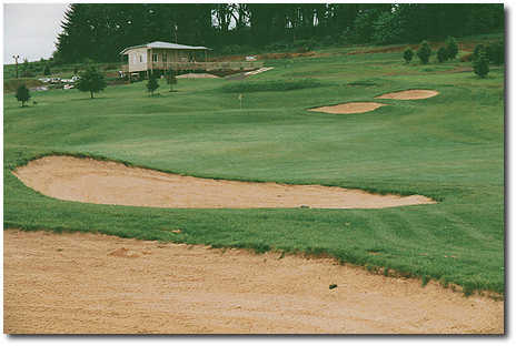 Diamond Woods - photo 5