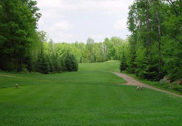 Teal Wing Golf Club - photo 3