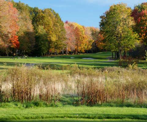 The Tanglewood Golf Club - photo 7