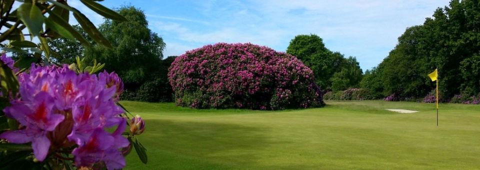 Dorset Golf & Country Club - photo 6