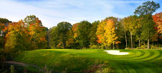 Point O' Woods - photo 4