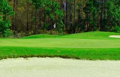 Magnolia Plantation Golf Club - photo 4