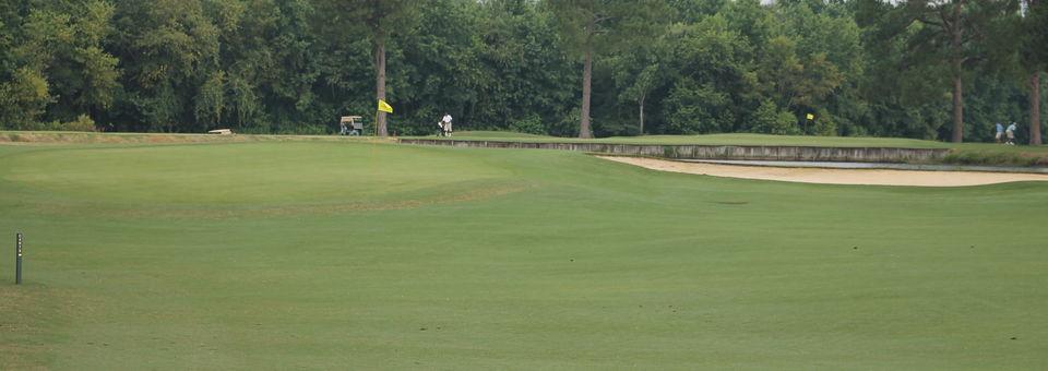 Wedgewood Public Golf Course - photo 2
