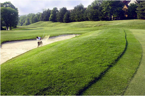 Fairway Hills Golf Club - photo 8
