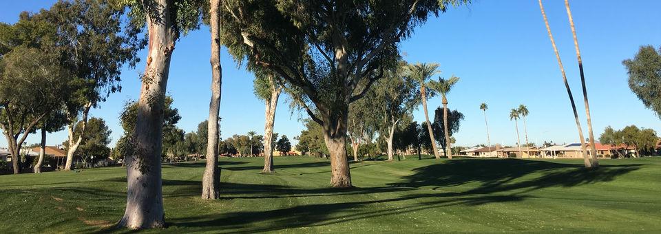 Sunland Village Golf Club - photo 7