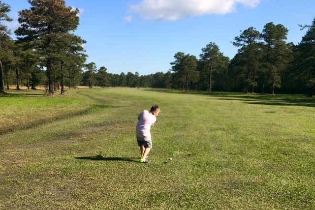 Northern Pines