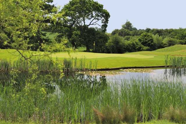 Magnolia Park Golf Club - photo 3