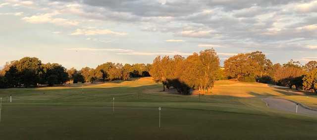 Indooroopilly Golf Club - photo 3
