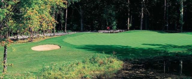 The Woodlands - photo 3