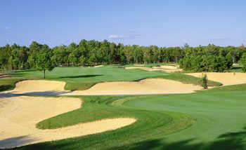 Union League National Golf Club - photo 7