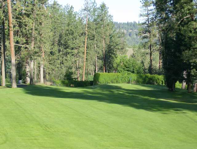 Downriver Golf Course - photo 2
