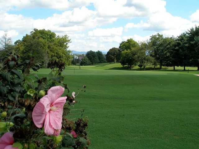 Green Meadow Country Club - photo 3