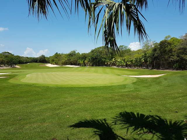 Gran Coyote Golf - photo 5