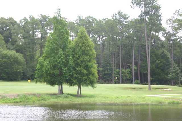 Quail Creek Golf Course - photo 3