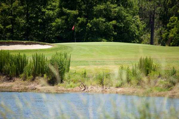 The Eagles Golf Club - Forest - photo 6