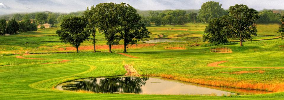 Wedgewood Cove Golf Club - photo 7