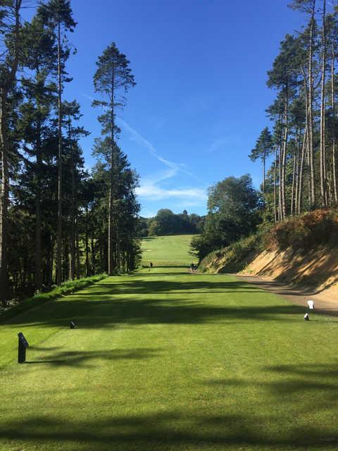 Boundary Lakes Golf Course - photo 1