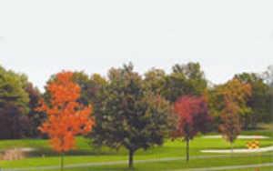 Golf Course at Kings Island - The Academy - photo 2