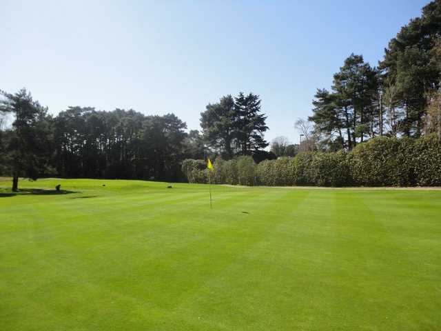 Ferndown Golf Club - The Old Course - photo 2