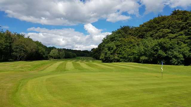 Ridgeway Golf Club - photo 2