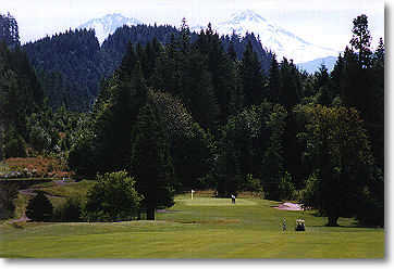 Tokatee Golf Club - photo 4