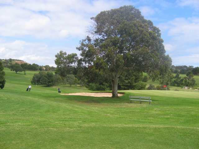 Marion Park Golf Course - photo 7