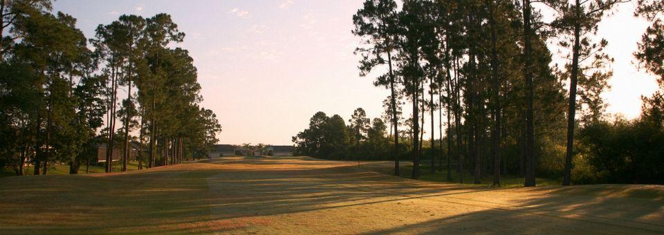 Tampa Bay Golf & Country Club - photo 4