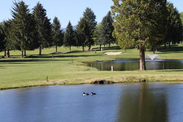 Birchbank Golf Course - photo 3