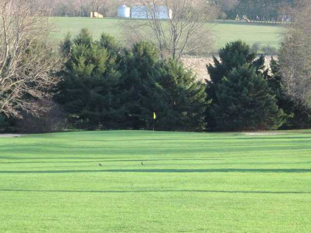 Turtle Greens Golf Course - photo 2