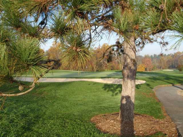 Northwest Golf Course - photo 4