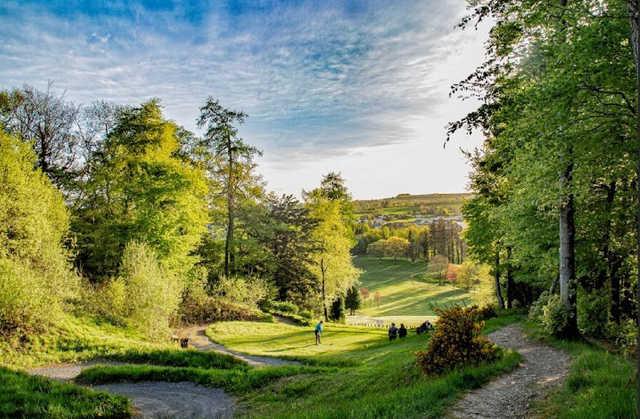 Castlecomer Golf Club - photo 4