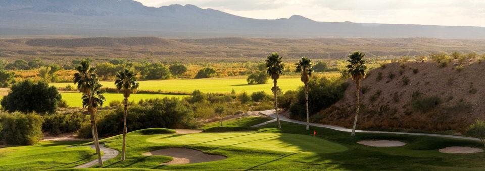Palms Golf Club - photo 6