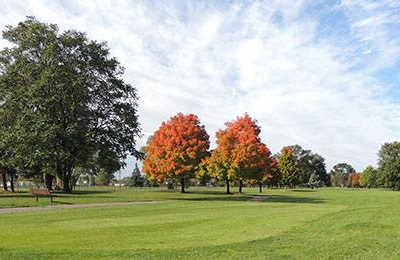 Green Oaks