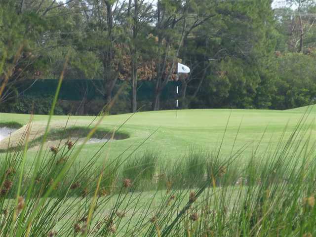Manly Golf Club - photo 7