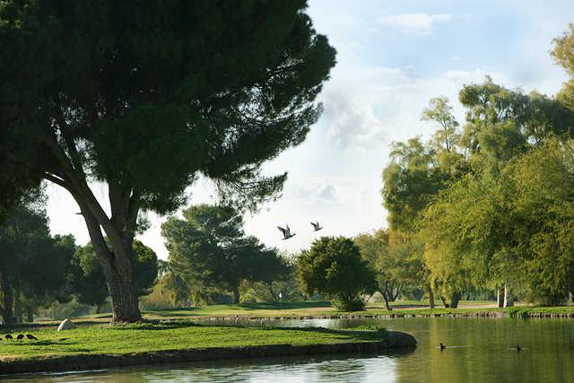 Paradise Valley Golf Course