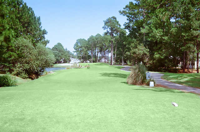 Heron Point - photo 3