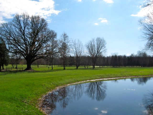 Town Isle Golf & Country Club - photo 4