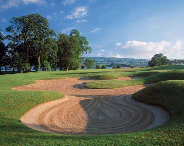 Fota Island Resort - Deerpark