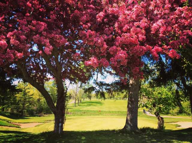 Bridgewater Country Club - photo 3
