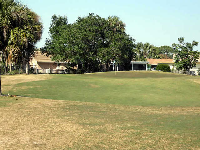Lone Pine - photo 2