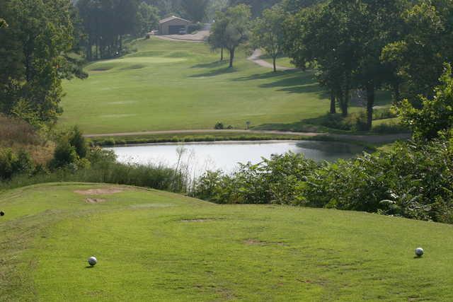 Fourche Valley Golf Club - photo 3