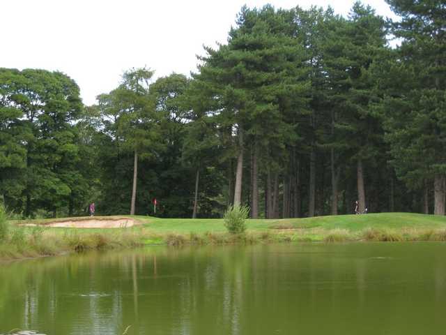 Bewdley Pines Golf Club - photo 4
