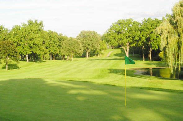 Meadowbrook Country Club - photo 5