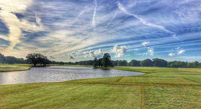Bayou Oaks at City Park - South Course - photo 4