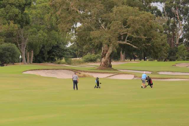 Commonwealth Golf Club - photo 3