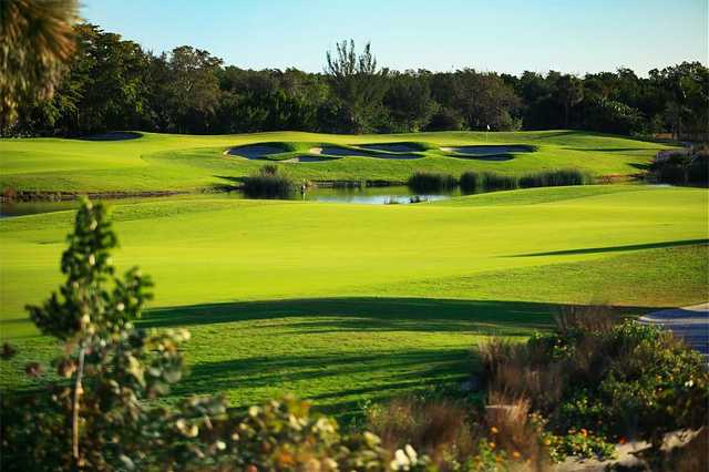 Hammock Bay - photo 4