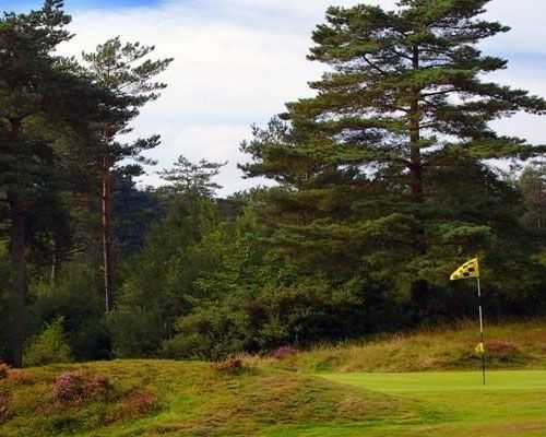 Crowborough Beacon Golf Club - photo 6