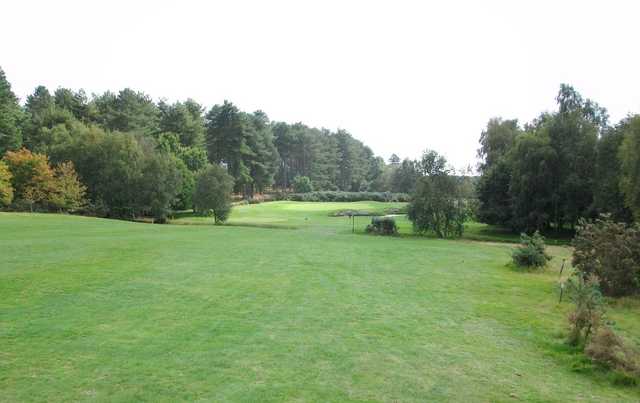 Moors Valley Golf Course - photo 4