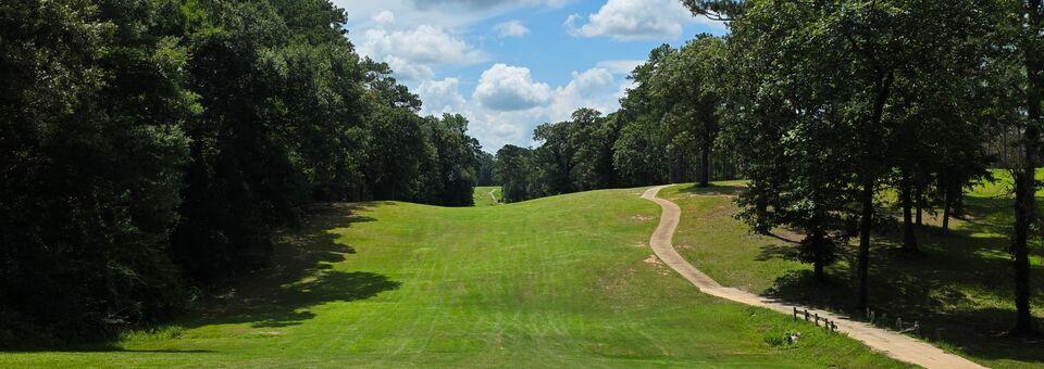 CAM2 Golf Club - photo 3